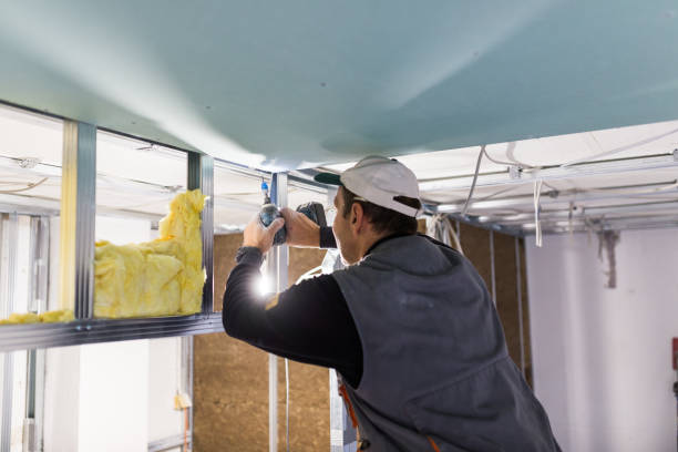 Best Types of Insulation in Waseca, MN